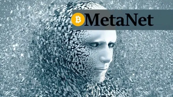 Metanet: A Blockchain based Internet